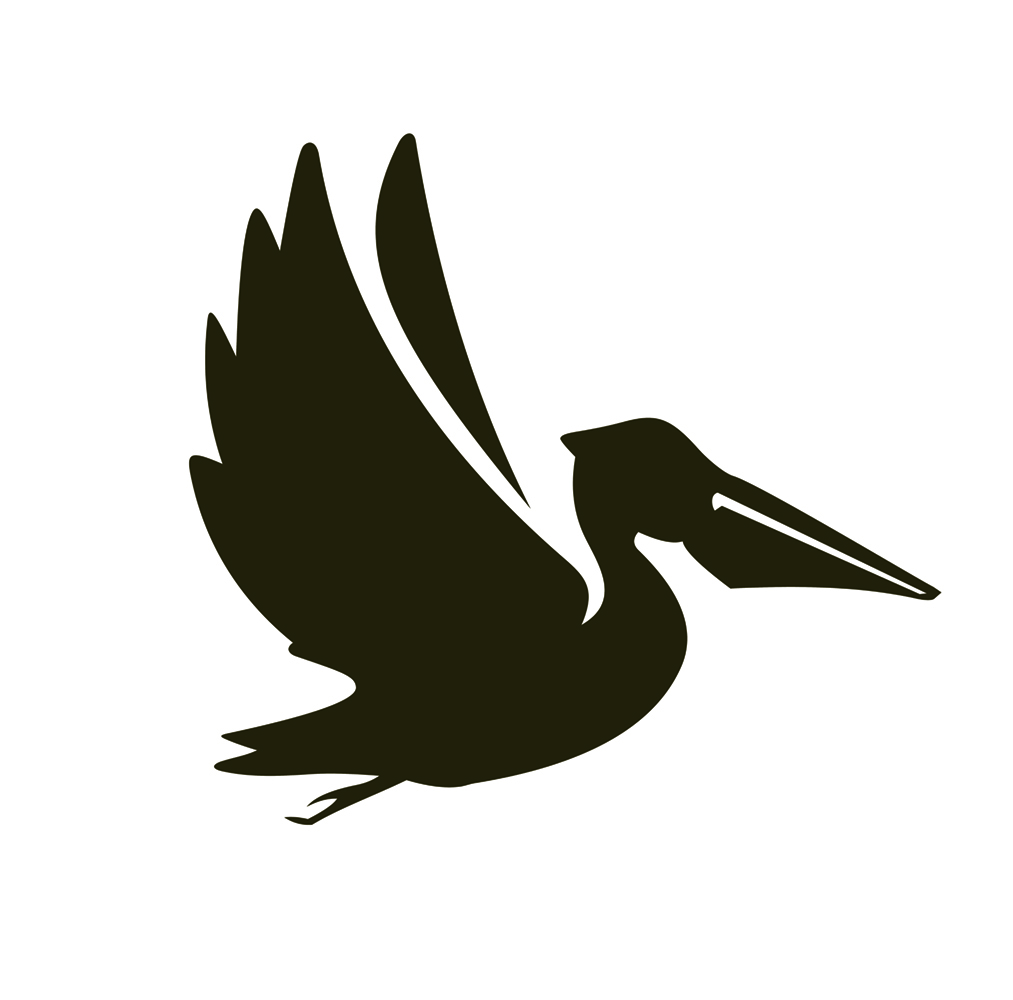 Hilton Head Home  |  9 Brown Pelican